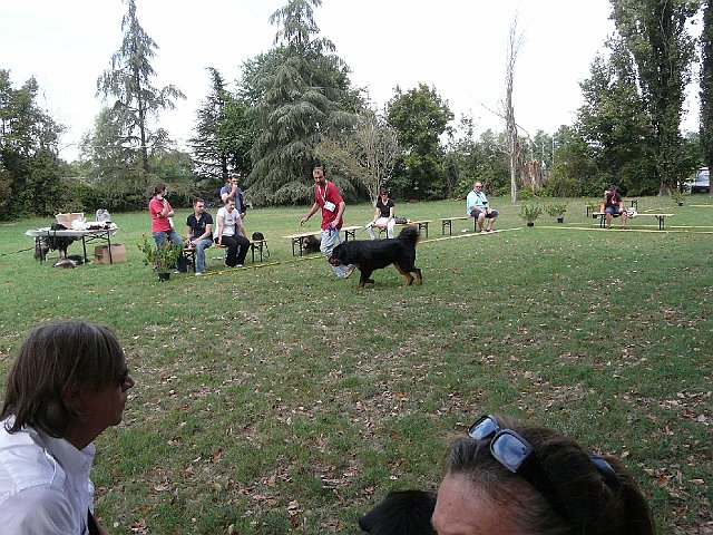 img 147.jpg
